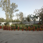 Sangrur-Branch